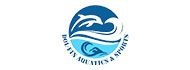 Dol-fin Aquatics & Sports